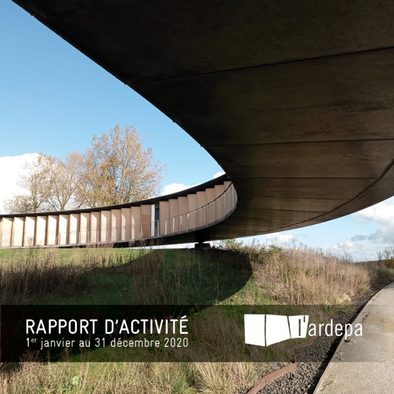 association ardepa rapport d'activité 2020